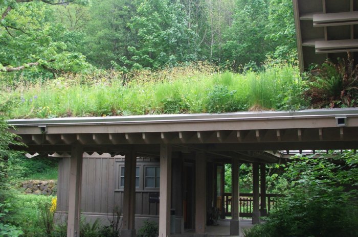 green roof